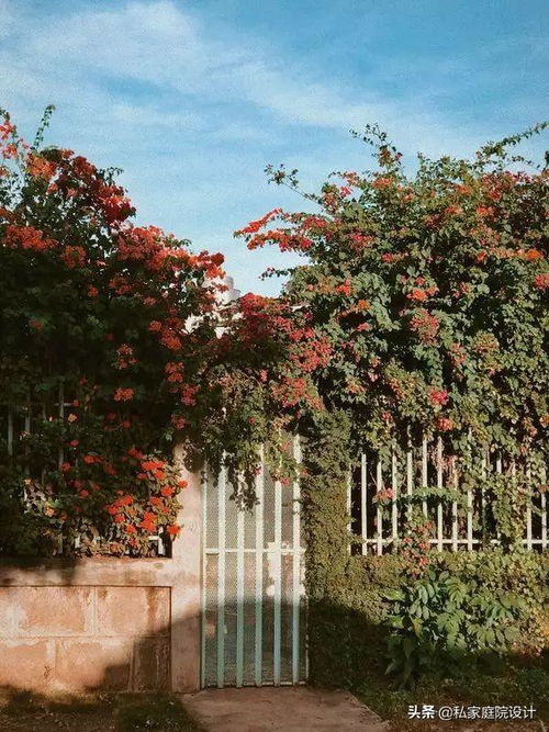 私家庭院設(shè)計(jì) 打造專(zhuān)屬的戶外生活空間